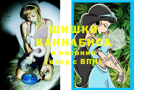 mix Вяземский