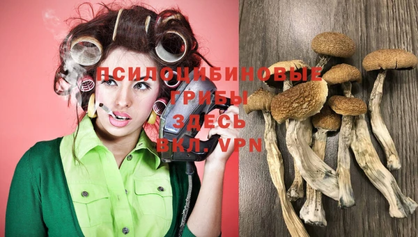 mix Вяземский