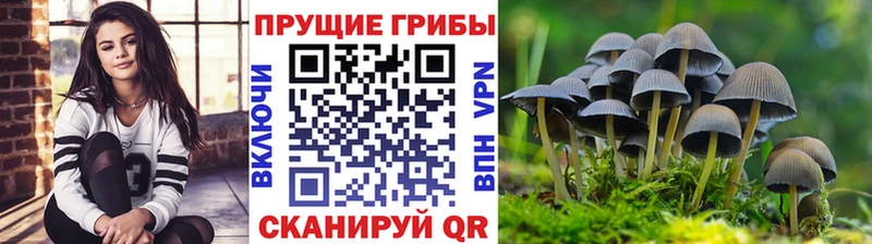 Галлюциногенные грибы мухоморы  Керчь 